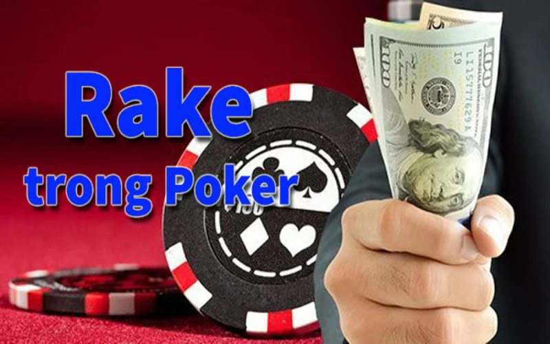 Lý giải thuật ngữ Rake là gì trong Poker