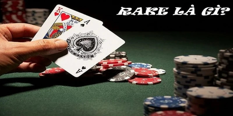 Rake là gì trong Poker